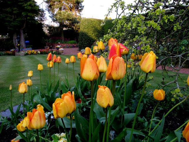 Reighamsyde House Bed and Breakfast Alnwick Esterno foto