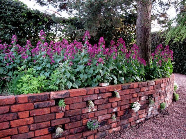 Reighamsyde House Bed and Breakfast Alnwick Esterno foto